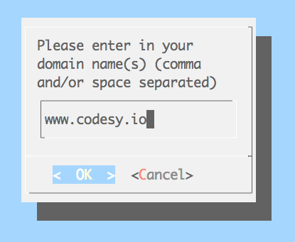 Certbot Domain Prompt Screenshot